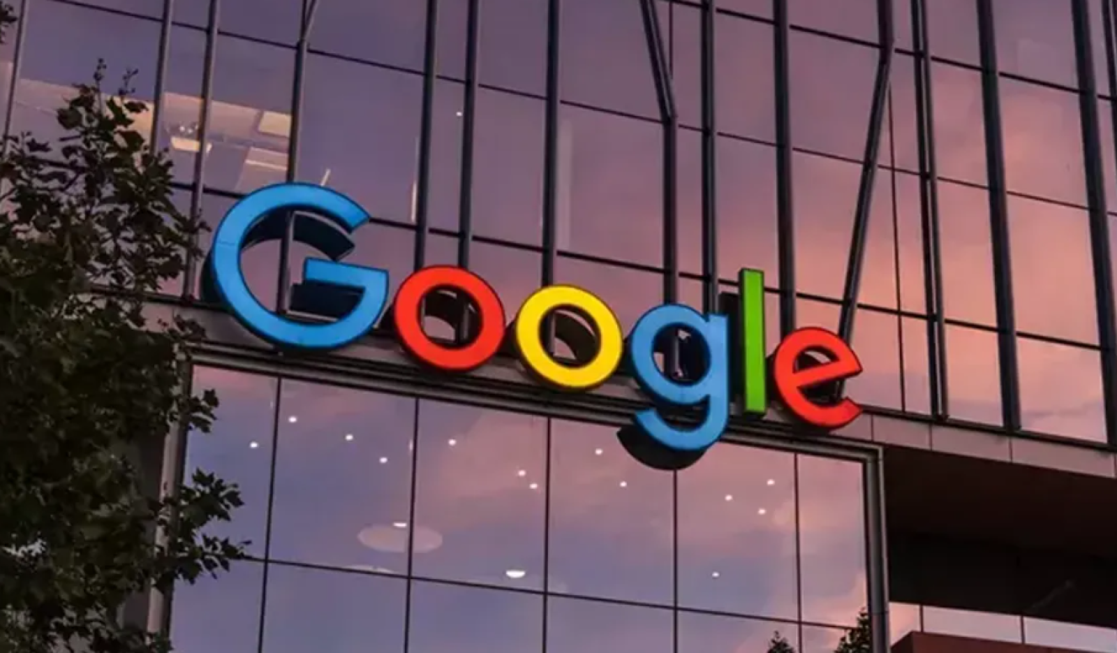 Google Kasım 2024 Güncellemesi