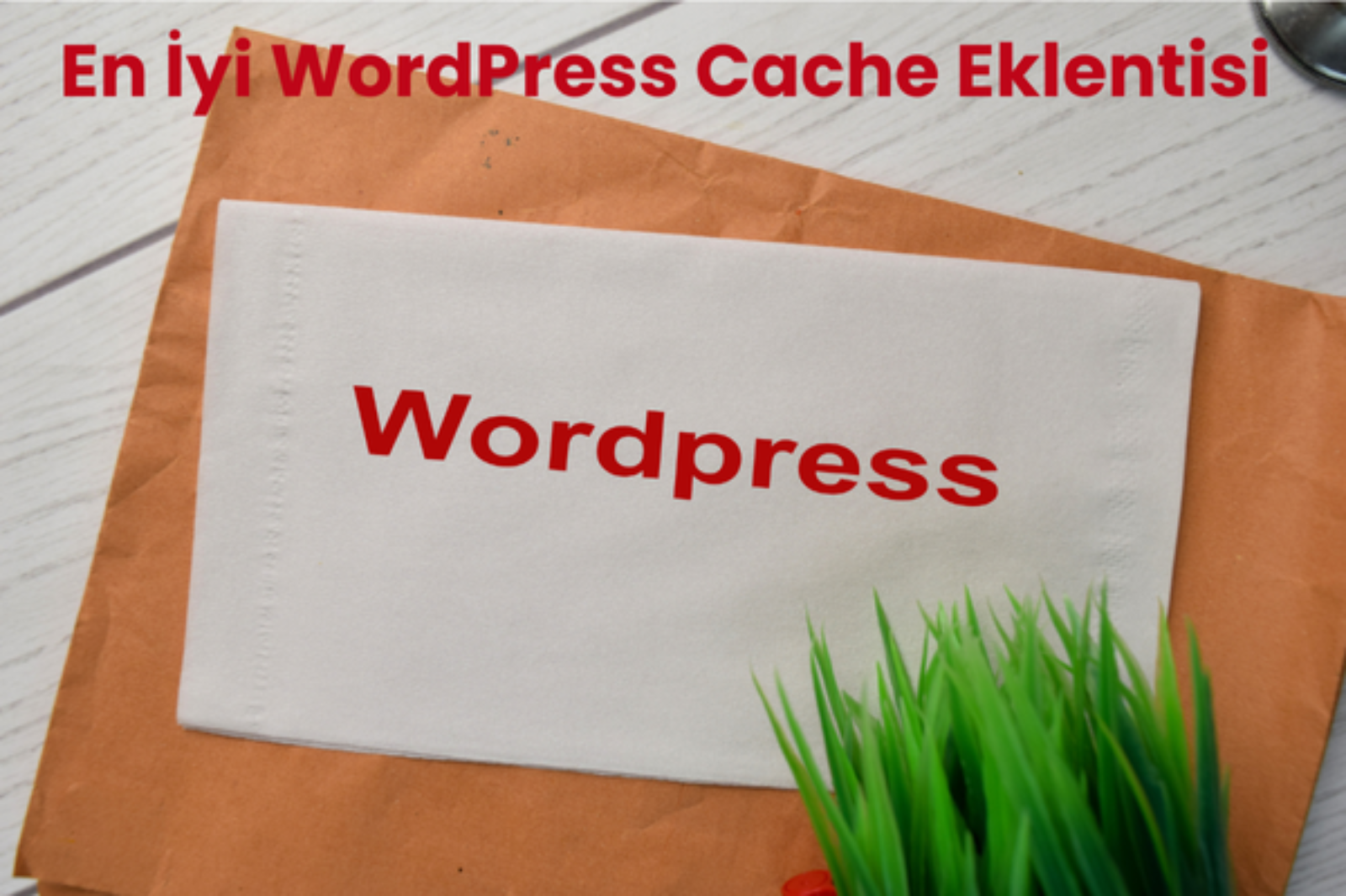 En İyi WordPress Cache Eklentisi